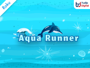 Aqua Runner Roku